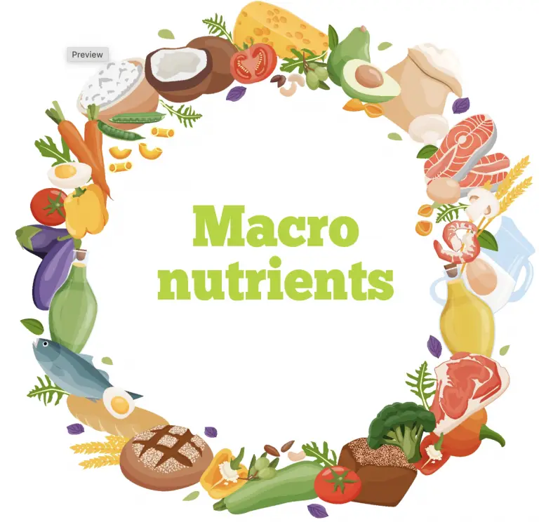 Macronutrients