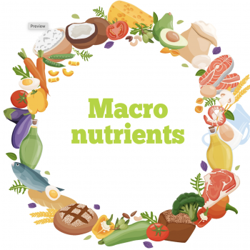 macros small Macronutrients